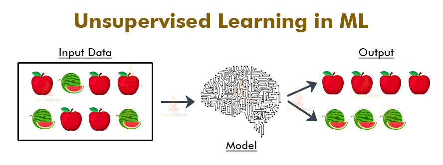 Unsupervised Learning | Types of Neural Network in Machine Learning 