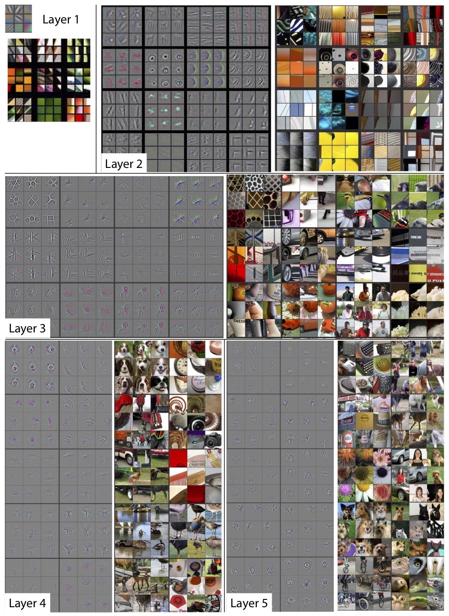 5 layers of CNN | computer vision applications