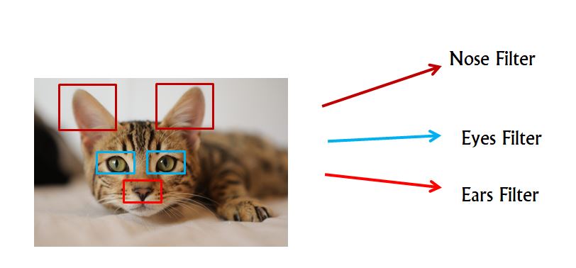 Building Image Classification model