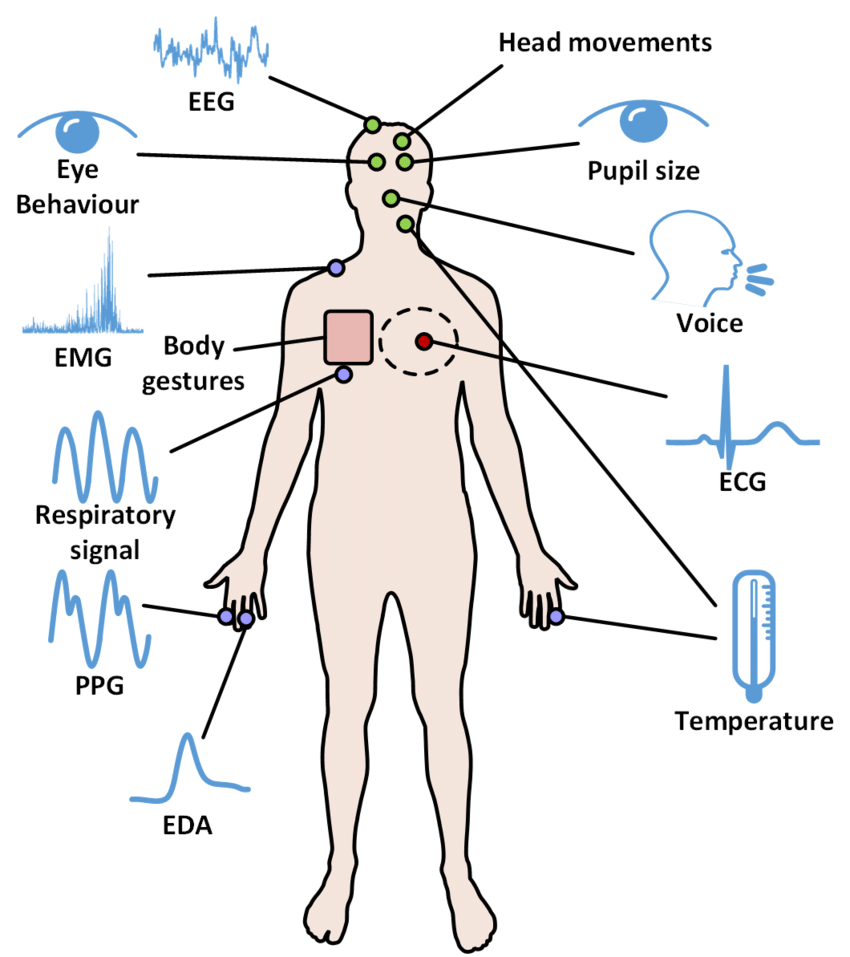 Biomedical data | Artificial Neural Network simplified