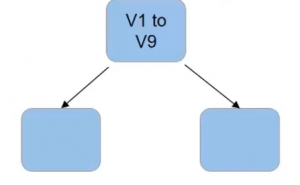 first node to decide the best split random forest algorithm