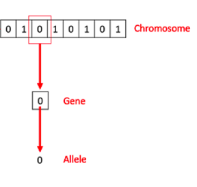 Chromoosomes , as binary strings of 0 and 1