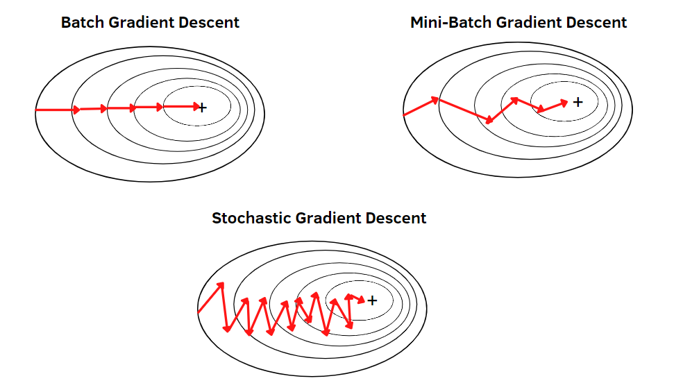 Stochastic Gradient Descent (SGD)