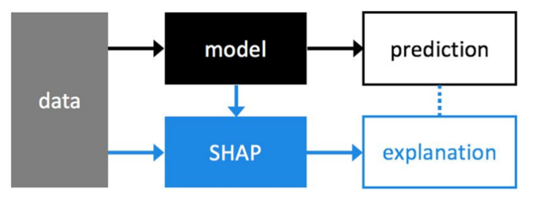 SHAP Algorithm 