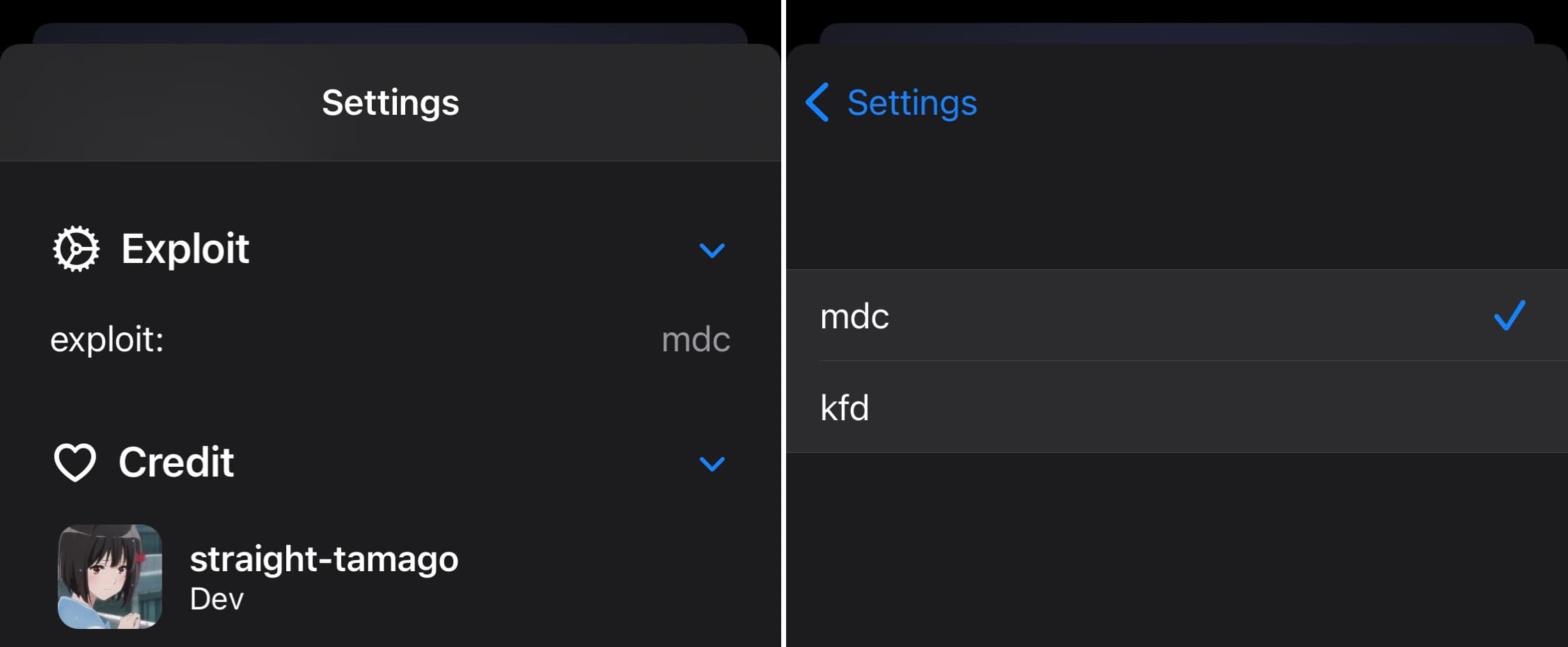 Misaka MDC or KFD exploit option.