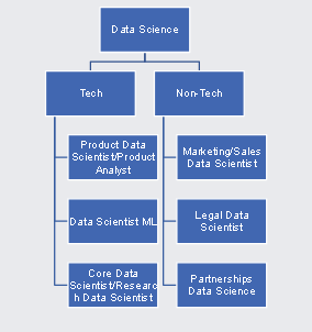 Data Science Roles