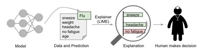 LIME Machine Learning Explainability