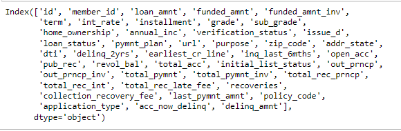 Loan Columns 