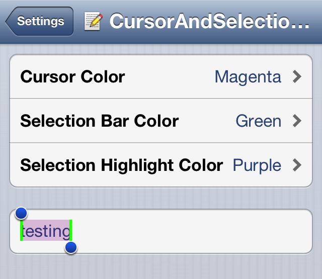 CusrsonAndSelection Color 01