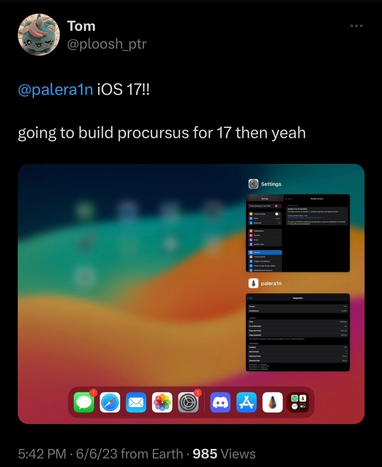 Ploosh palera1n on iPadOS 17.