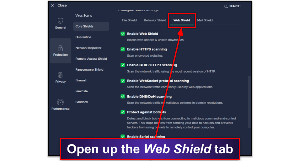 How to Configure Avast’s Web Protection