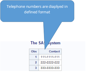 17_Proc_Format_SAS