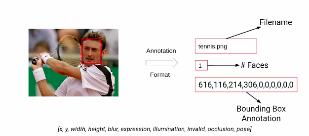 Converting the Annotations of the WIDER FACE Dataset as per Detectron2