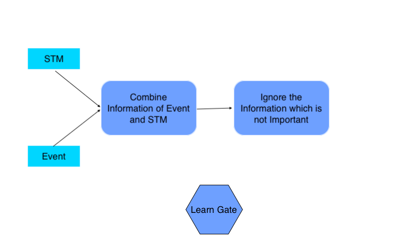 Learn Gate LSTM