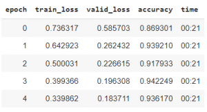 fit_one_cycle() in Fast.ai