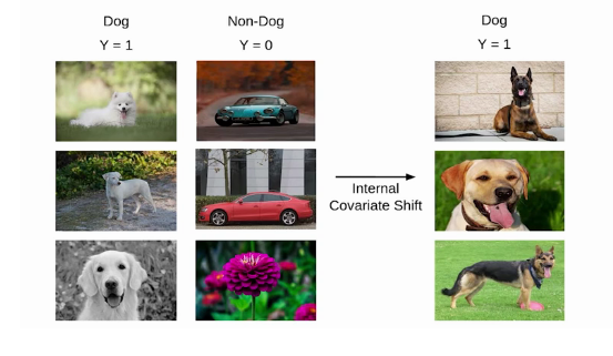 internal covariate shift