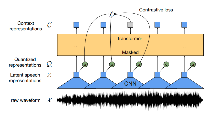 Wav2Vec2 working