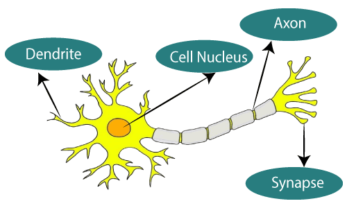 artificial neural networks using Pytorch