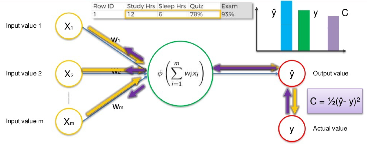 whole concept of Artificial neural networks