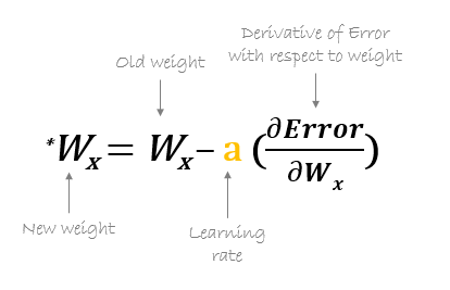 weights and biases