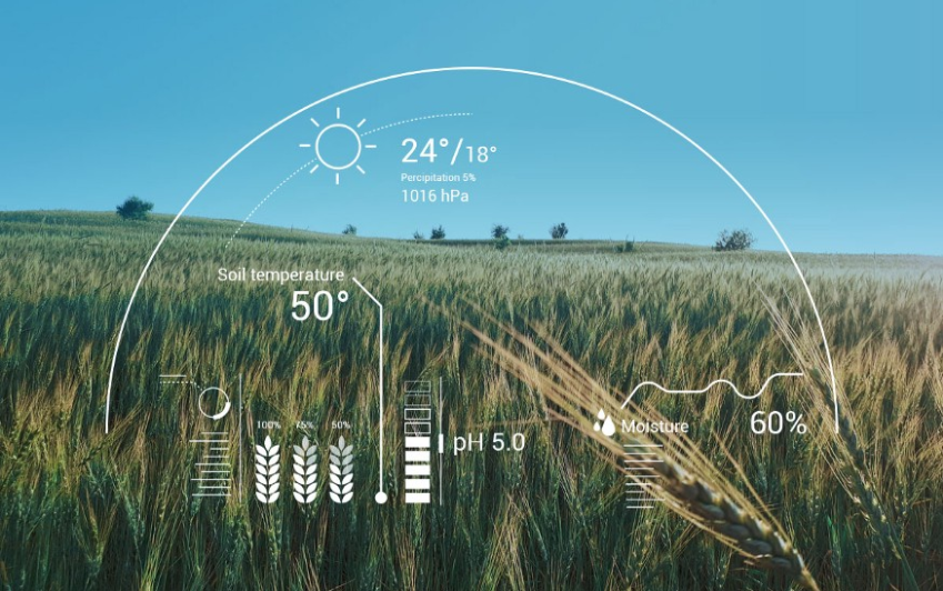 AI Agricultural Application