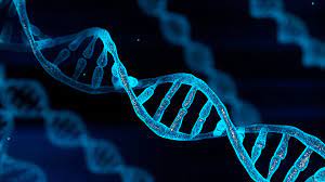 Rare synthetic DNA sequence discovered by AI