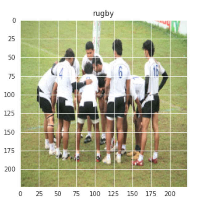 Image Classifier - rugby