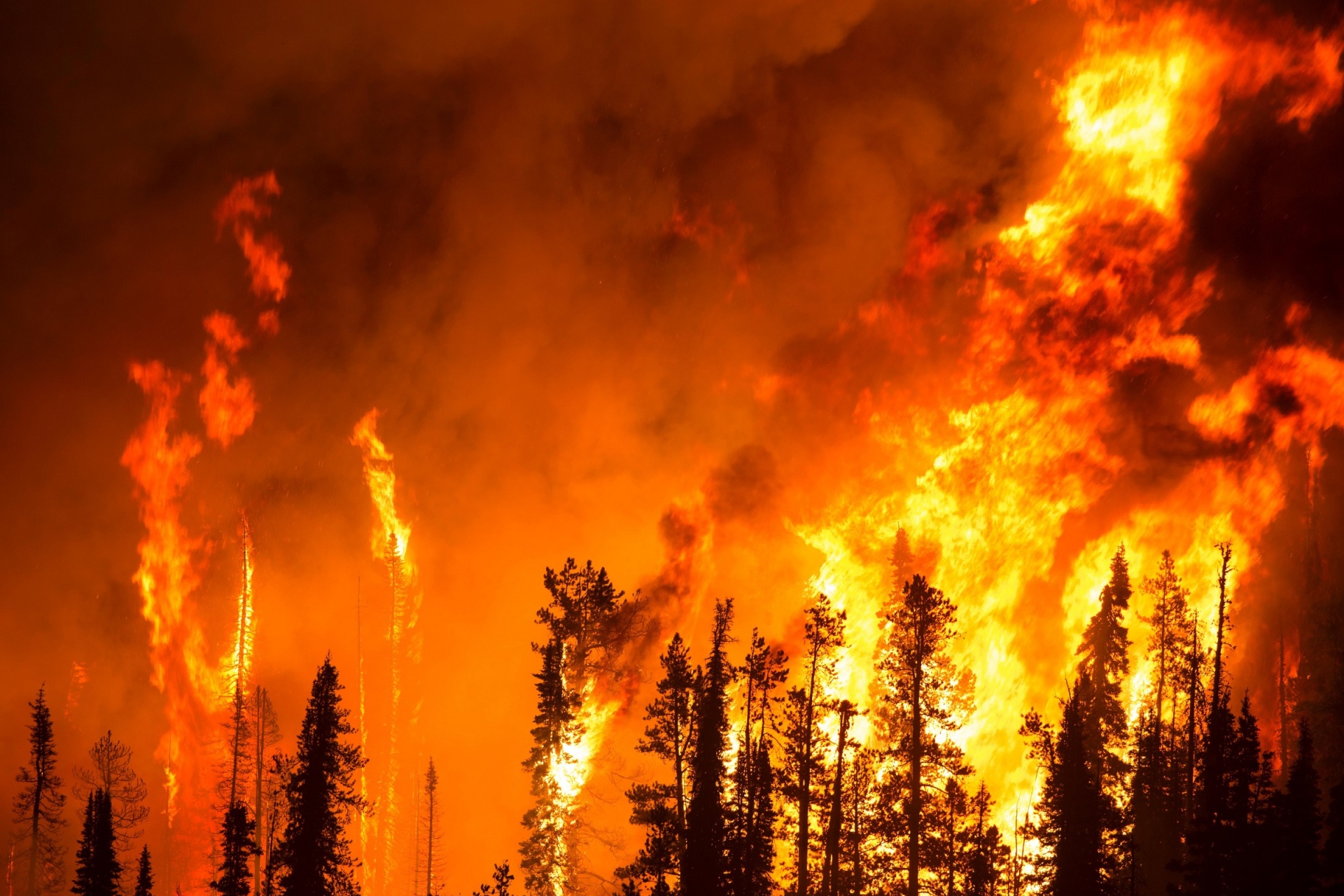 Forest Fire Prediction Using ML