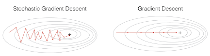 SGD | gradient descent