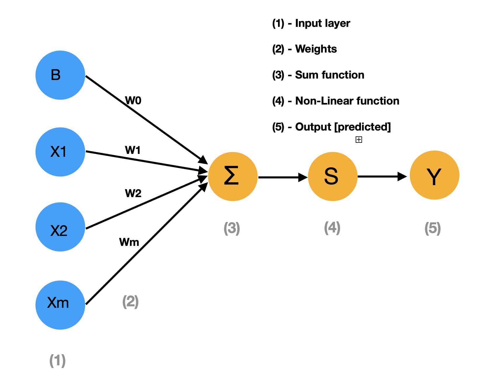 Neural Network