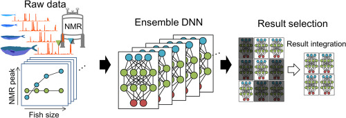 ensemble deep learning model