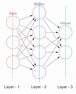 Input hidden and output layers in Neural network