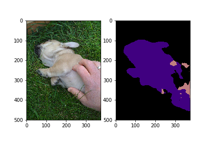 semantic segmentation example