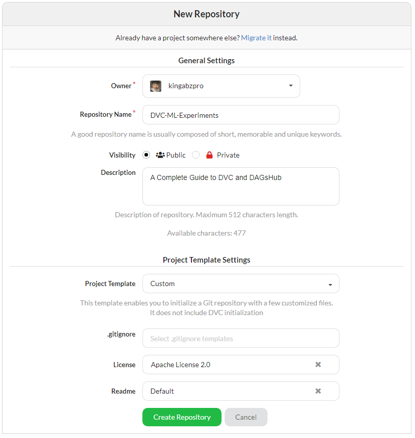 Creating new repository on DAGsHub