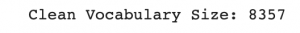 clean vocabulary size