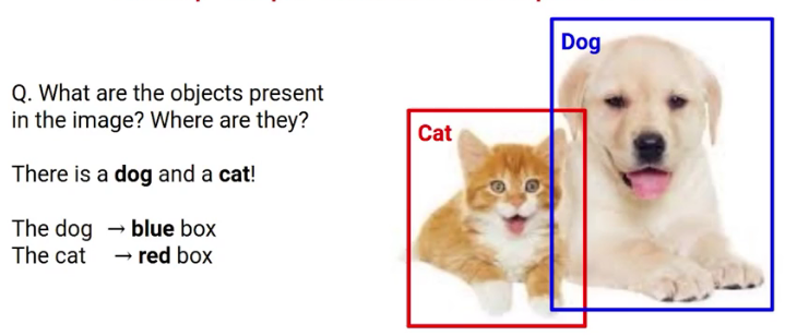 Image Segmentation - Object Detection