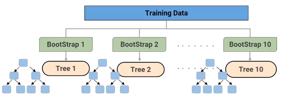 10 decision tree models 