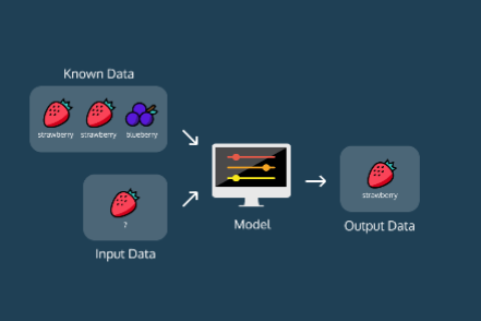 supervised learning iris dataset