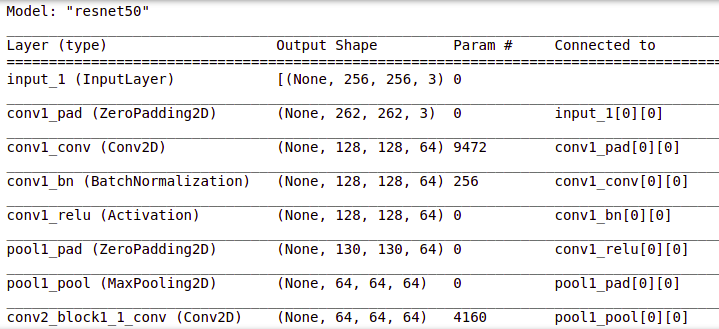 model summary