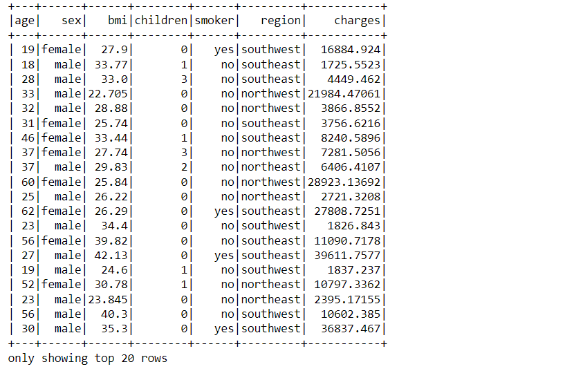 Reading the Insurance Dataset Using Pyspark