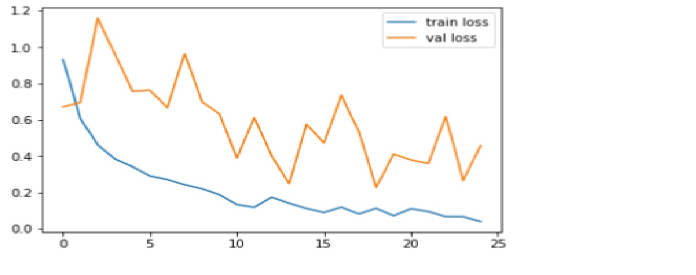 loss plot