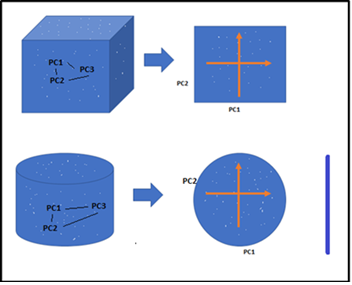 Dimensionality Reduction 3D-2D