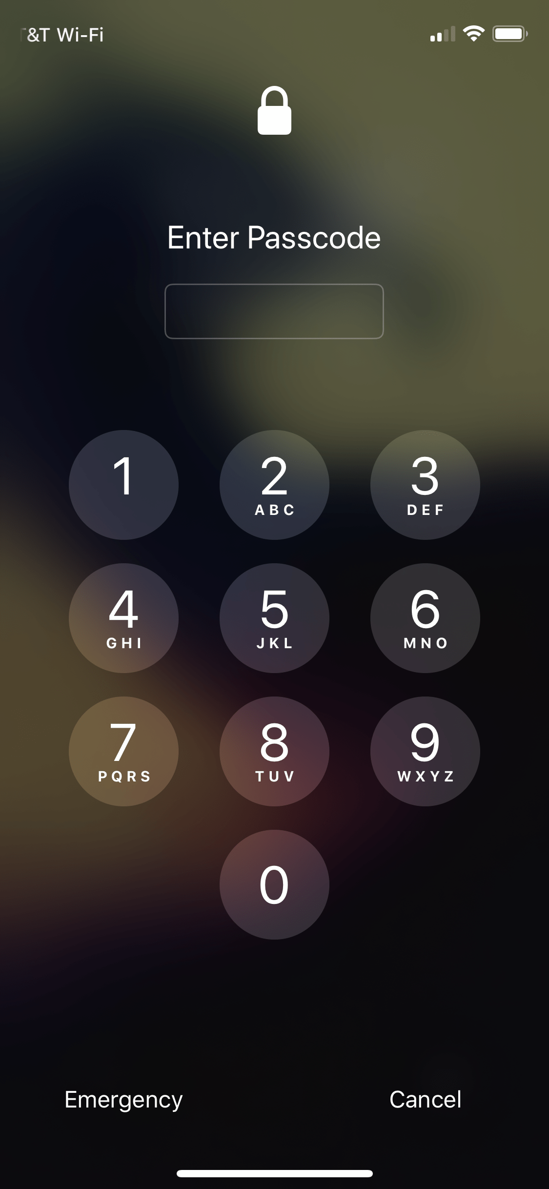 IntelligentPass passcode UI.