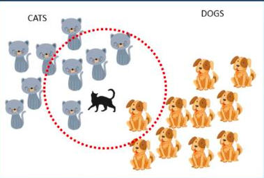 KNN cat or dog classification