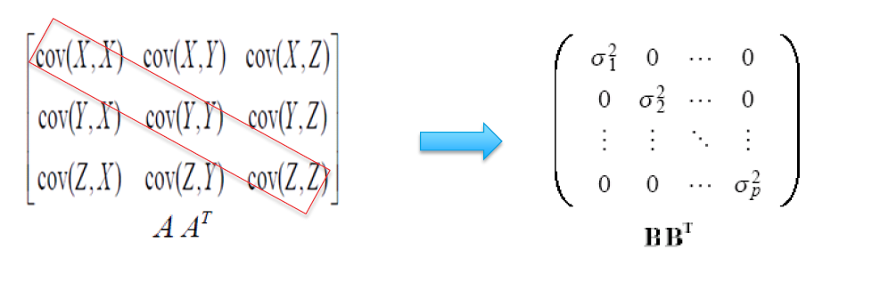 pca matrix