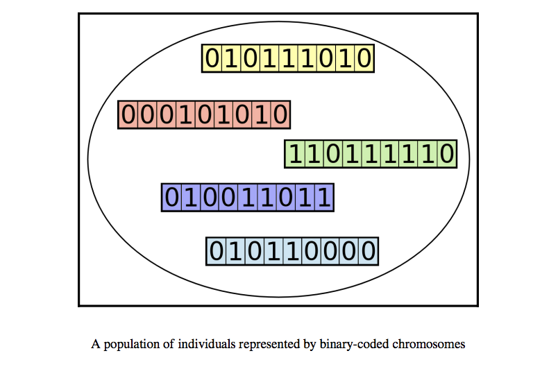 ‌Population genetic algorithms