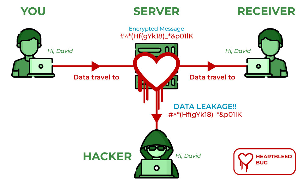 Structure of Heartbleed Bug