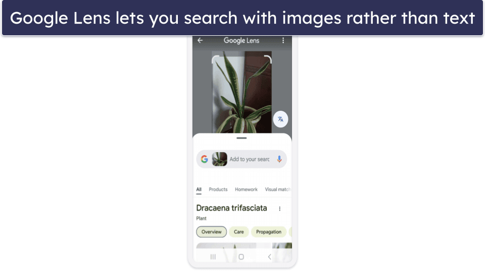 What Does Google Lens Do?