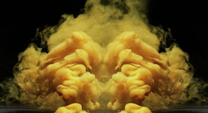 Check if a given number is sparse or not | Never Open Always Closed