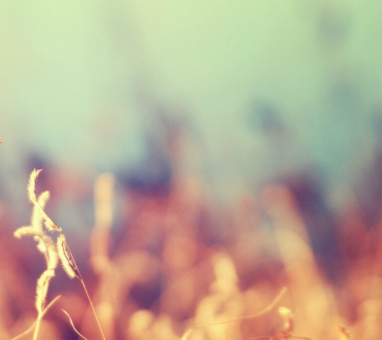 21 Can’t-Miss Free Machine Learning Talks